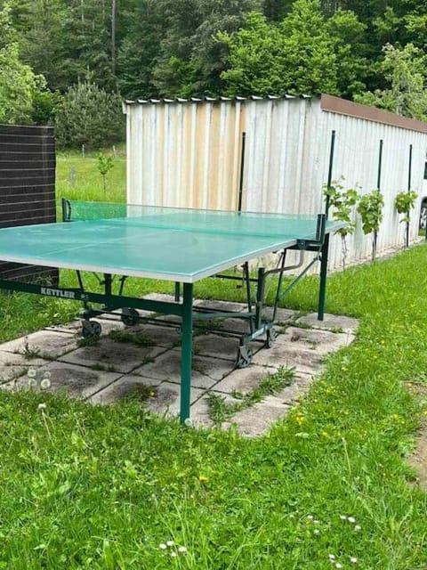 Garden, Table tennis