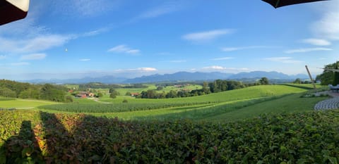 Ferienwohnung Hochfelln Apartment in Prien am Chiemsee
