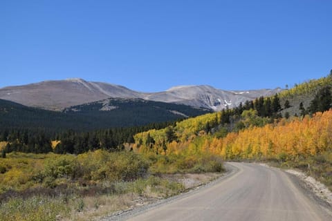 Stay at the Treeline with Fabulous Views! On Top of the World at Ptarmigan Lodge House in Park County