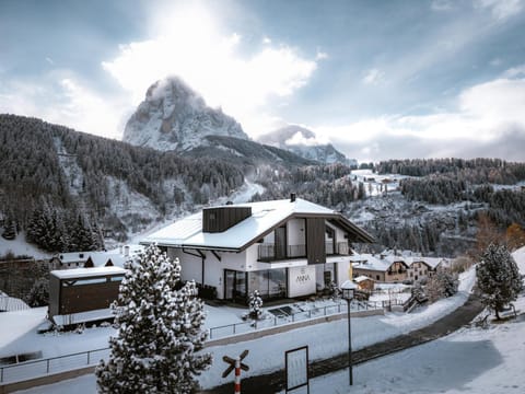 Property building, Natural landscape, Winter, Mountain view