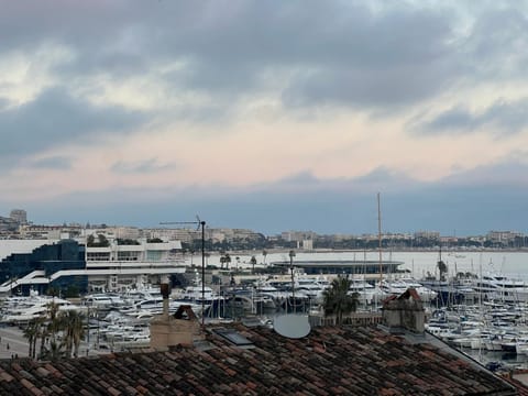 Sea view