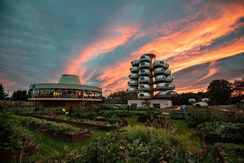 Property building, Garden, Garden view, Sunset