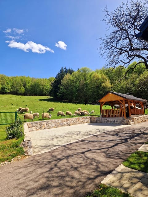 Natural landscape, Balcony/Terrace, Parking