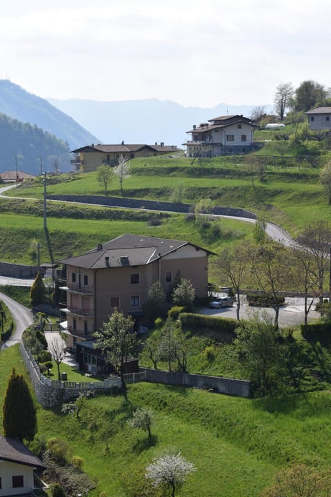 Neighbourhood, Garden, Garden view