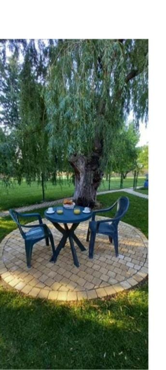 Logement lumineux, entièrement rénové avec jardin Apartment in Le Thor