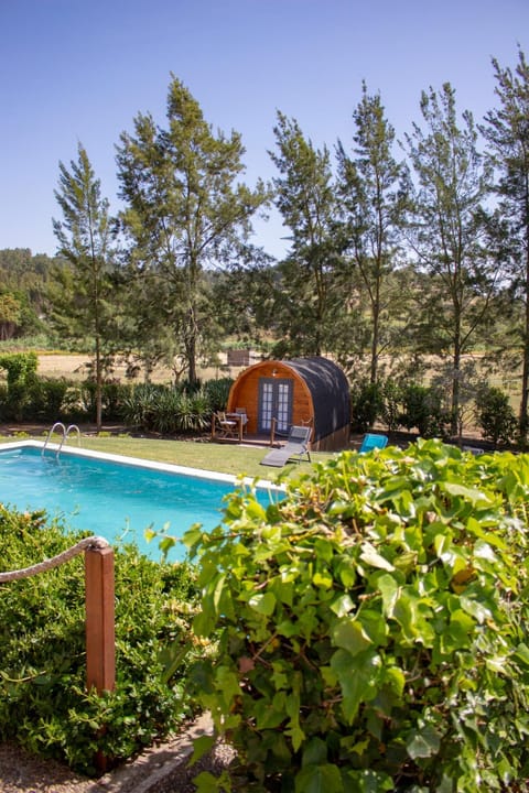 Spring, Day, Natural landscape, Garden, Garden view, Pool view, Swimming pool, sunbed