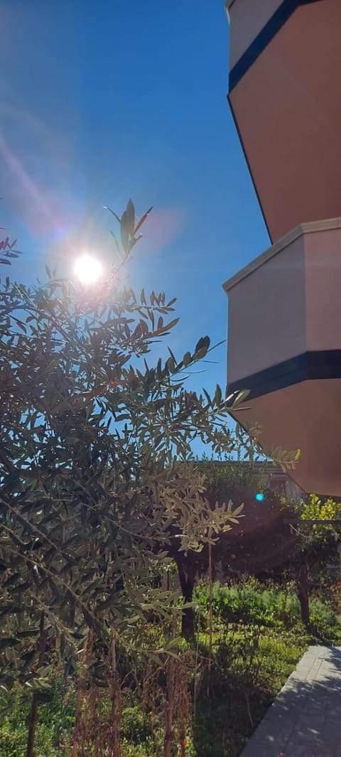 Day, Garden view