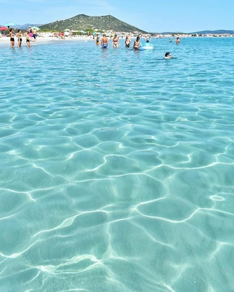 Stella marina 2 da Alessandro Apartment in La Caletta