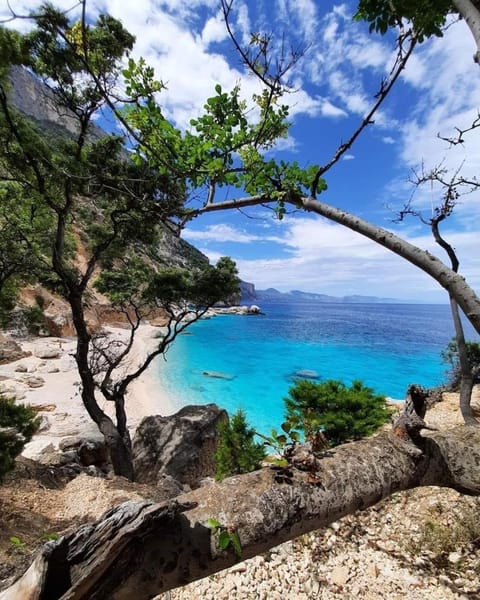 Stella marina 2 da Alessandro Apartment in La Caletta