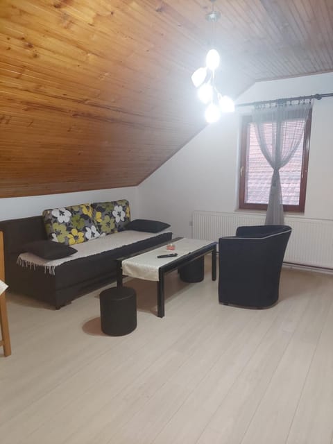 Djokić 2 sa bazenom Apartment in Serbia