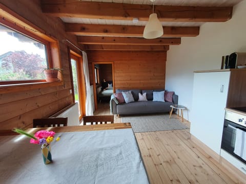 Bed, Kitchen or kitchenette, Living room, Seating area, Dining area