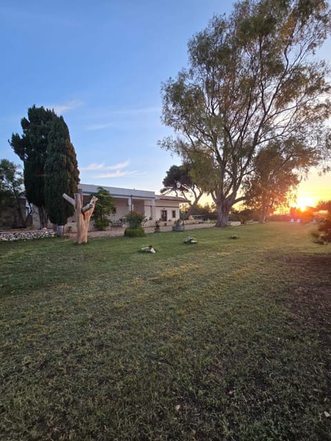 Garden, Sunrise