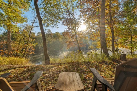 Day, Natural landscape, Autumn