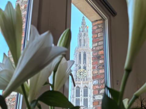 Historical center Antwerp, all on foot Apartment in Antwerp