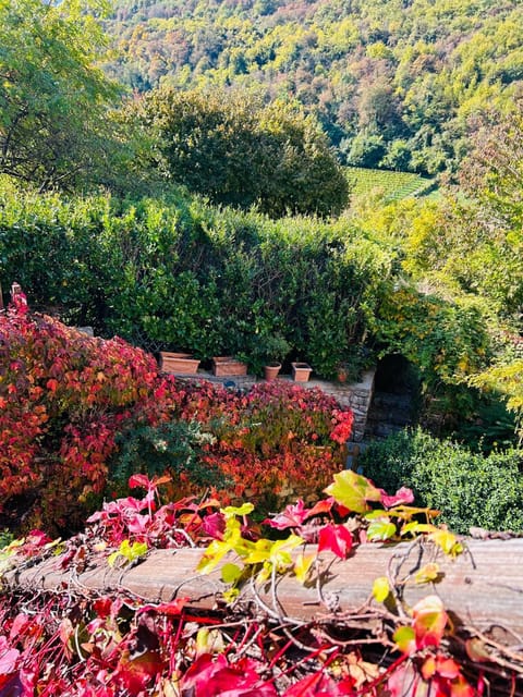 Appartamento Sopramonte Apartment in Trentino-South Tyrol