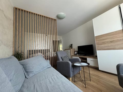 TV and multimedia, Living room, Seating area, Bedroom