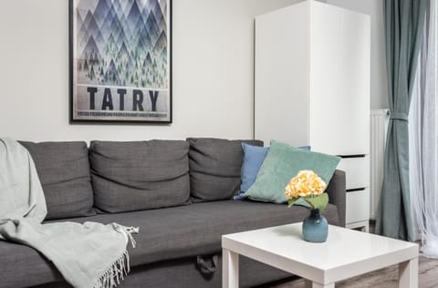 Living room, Decorative detail, Seating area