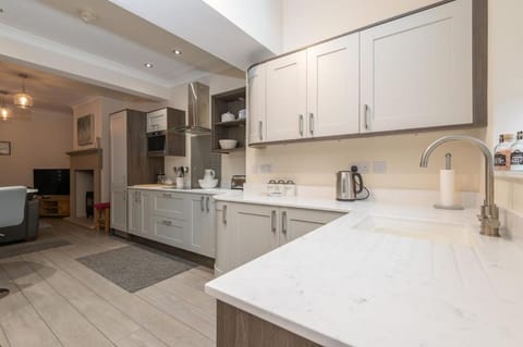 dishwasher, minibar, stove, kitchen