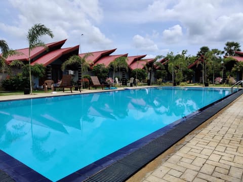 Day, Pool view, Swimming pool, sunbed