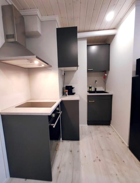 Upea moderni pieni yksiö rauhallisella sijainnilla - itsepalvelukirjautuminen - SELF CHECK-IN Apartment in Finland