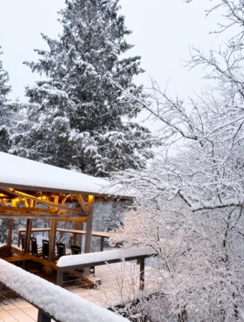 The Blue House On The Hill Catskills—Views House in Shandaken