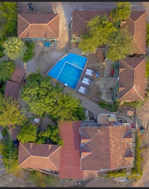 Bird's eye view, Swimming pool