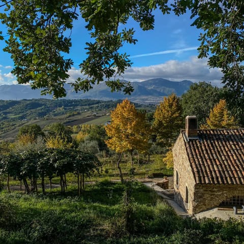 Mountain view
