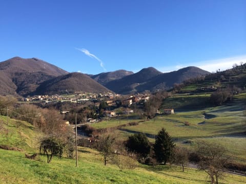 Mountain view