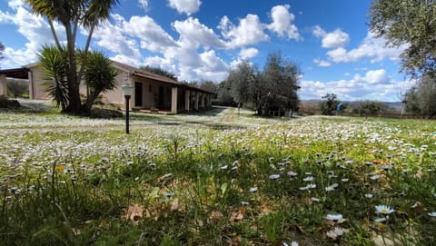 Agriturismo Bio Pian Dei Casali Farm Stay in Lazio