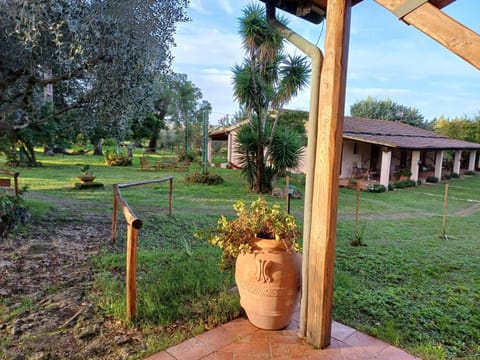 Agriturismo Bio Pian Dei Casali Farm Stay in Lazio