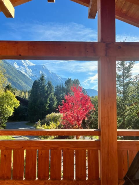 Chalet Isabelle Mountain lodge 5 star 5 bedroom en suite sauna jacuzzi Chalet in Chamonix