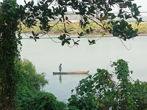 Lake view