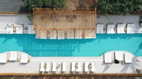 Day, Pool view, Swimming pool, sunbed