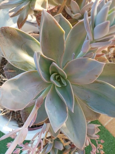 La casa di Annalisa Apartment in Ortona
