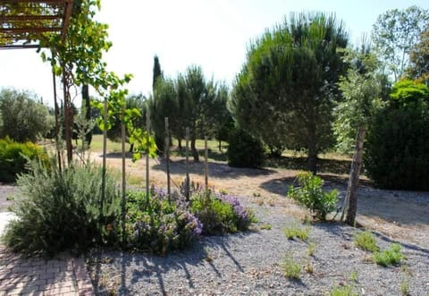 Natural landscape, Garden