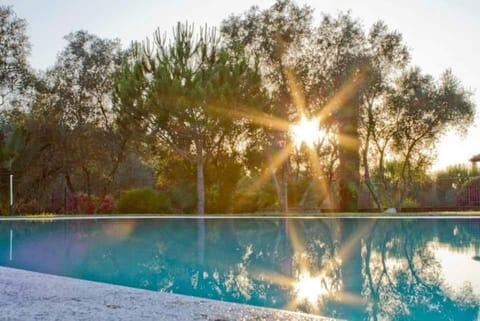 Natural landscape, Swimming pool