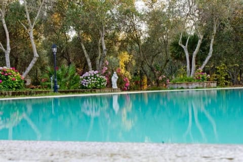 Garden, Swimming pool