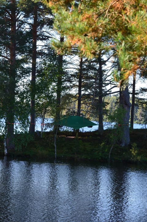 Natural landscape, Lake view