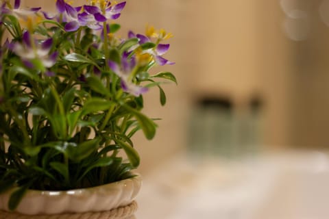 Suite Corallo - Smart Holiday Apartment in Mantua