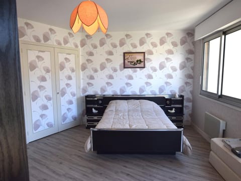 Appartement spacieux à Évian, animaux admis - FR-1-498-77 Apartment in Évian-les-Bains