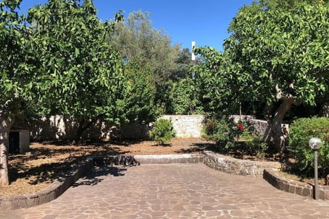 Property building, Garden