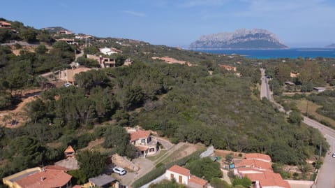 Neighbourhood, Bird's eye view