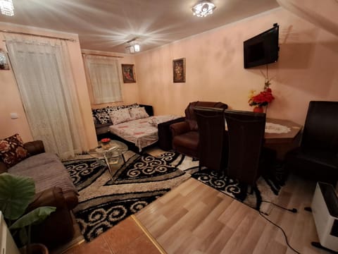 Apartman Vanja Apartment in Serbia