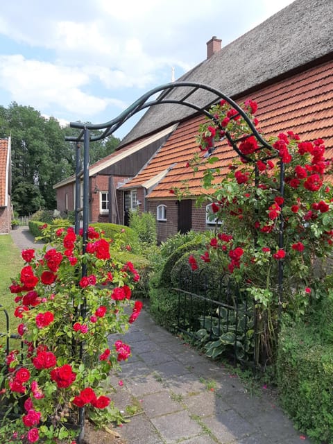 Facade/entrance, Garden