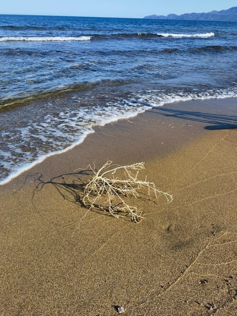 Natural landscape, Beach