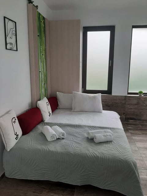 Accent House Apartment in Serbia