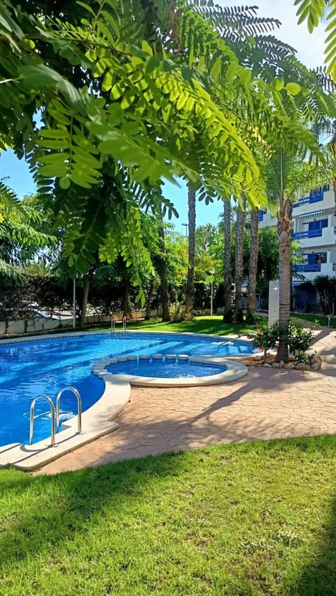 Natural landscape, Garden, Garden view, Swimming pool
