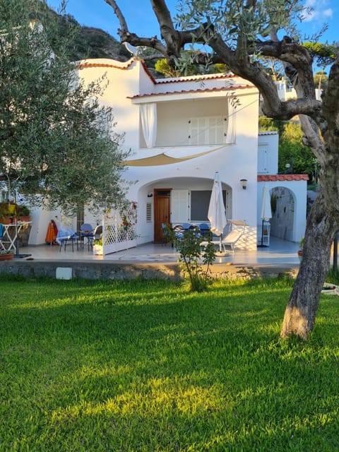 Property building, Garden, Garden view