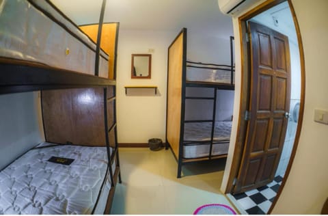 NITRO HOUSE Hostel Bed and Breakfast in Ko Tao