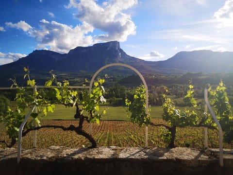 Mountain view